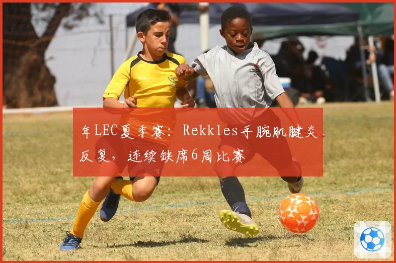 年LEC夏季赛：Rekkles手腕肌腱炎反复，连续缺席6周比赛